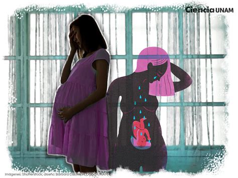 Belleza En Transformaci N Descubre Los Cambios F Sicos En El Embarazo
