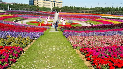 Enjoy Life Flowers Of Dubai Miracle Garden