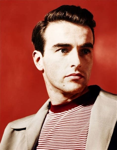 Stardust Montgomery Clift Classic Movie Stars Hollywood
