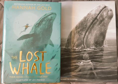 The Lost Whale By Hannah Gold Review Ryan Mizzen