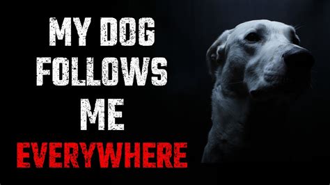 My Dog Follows Me Everywhere Creepypasta Nosleep Story Youtube