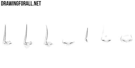 How To Draw Anime Nose Front View We Will First Use Simple Shapes