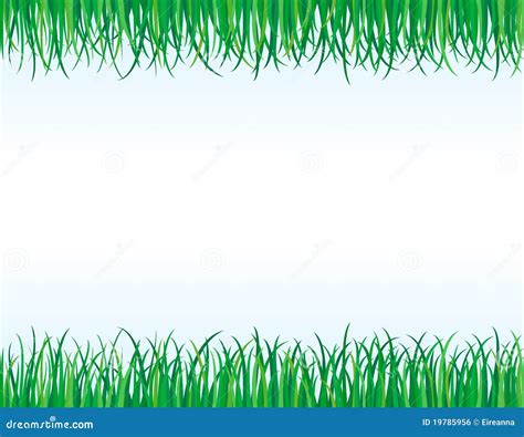 Green Grass Borders Royalty Free Stock Image Image 19785956
