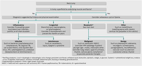 An Adult With A Neck Lump The Bmj