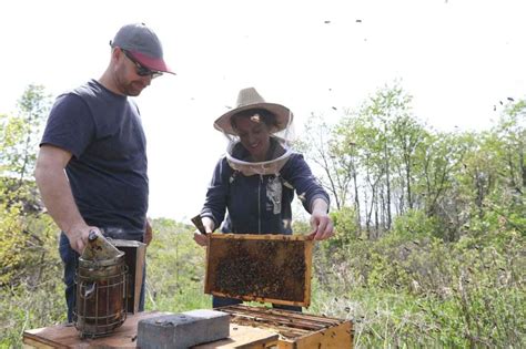 Survival Of The Pollinators Winnipeg Free Press