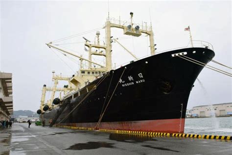 Japan Whaling Fleet Returns From Antarctic Hunt With 333 Whales Untv