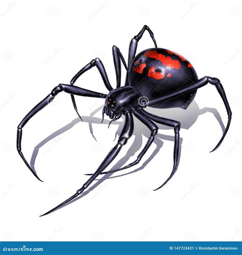Best Ideas For Coloring Cartoon Spider Drawing