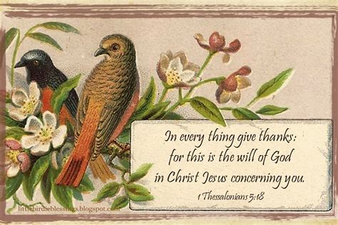 Little Birdie Blessings Scripture Thursday ~ Thanks For The Blessings