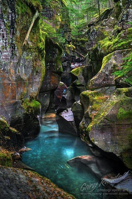 Avalanche Creek Gorge At Glacier National Park Montana Places To