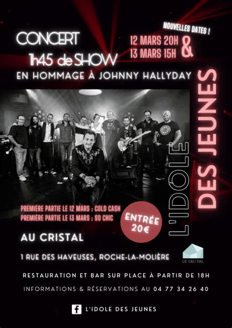 Concert Tribute En Hommage Johnny Hallyday Le Groupe Lidole Des