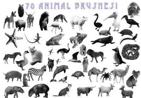 Top 137 Imagenes De Photoshop Animales Destinomexicomx