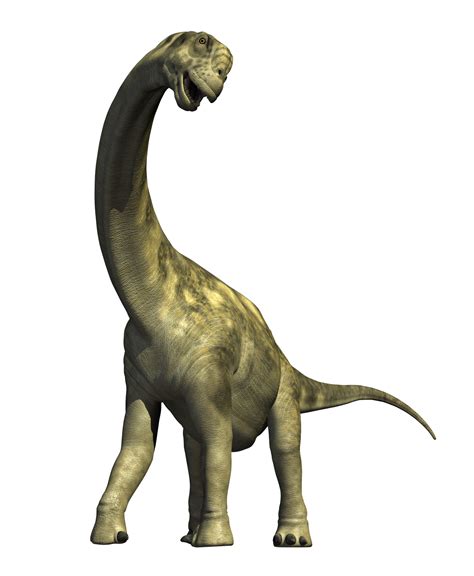 Dinosaur Png Image Purepng Free Transparent Cc0 Png Image Library