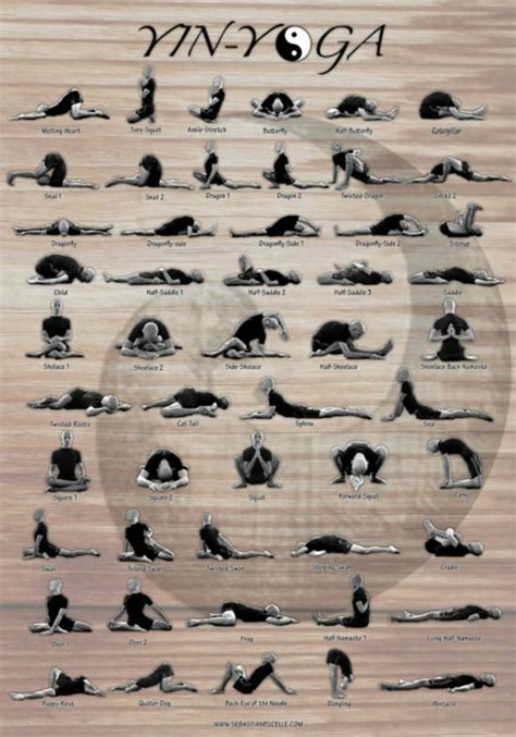 We could generalise and describe yang as bright, warm, soft, moving and changing — and yin as dark, cold, hard, solid and unchanging. 15+ Yin Yoga Poses Chart | Yoga Poses