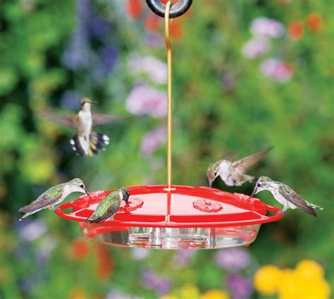 Aspects Hummzinger Excel Hummingbird Feeder Humming Bird Feeders How To Attract
