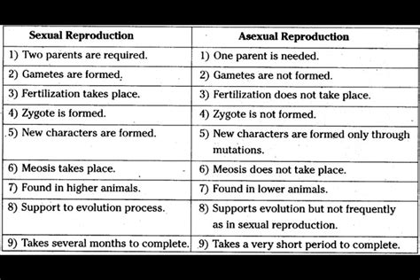 Differents Between Sexual Reproduction And Asexual Reproduction