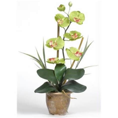 Nearly Natural 1016 Gr Single Stem Phalaenopsis Silk Orchid Arrangement 1 Kroger