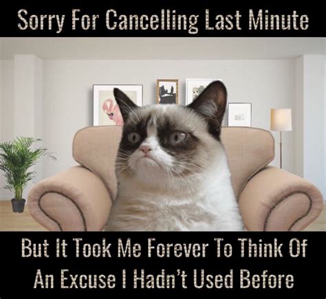 Grumpy Cat Says Sorry For Cancelling Last Minute But It Took Me Forever