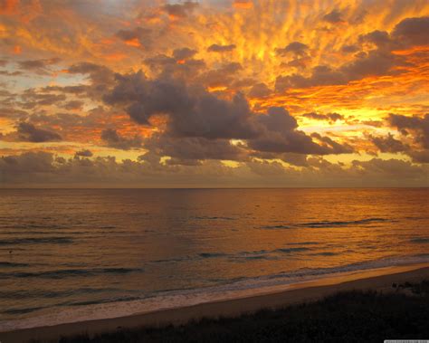 Free photo: Golden sunset - Clouds, Golden, Red - Free Download - Jooinn
