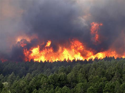 A Wildfire Rages On In Black Forest Colorado June 12 2013 Wild Fire