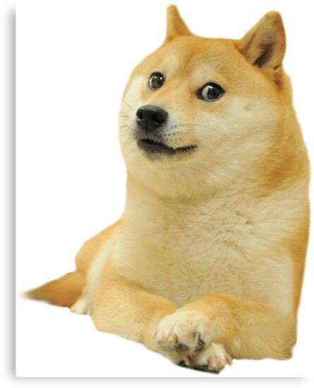 Baby doge coin has learned a few tricks and lessons from his meme father, doge, the web portal says. "Doge - Meme" Canvas Prints by dizioboy | Redbubble