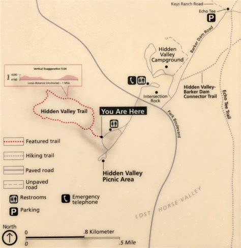 26 Joshua Tree Trail Map Maps Online For You