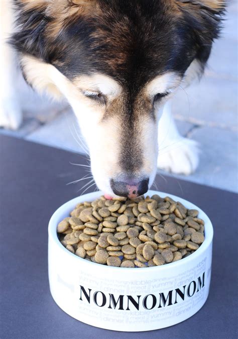 Choosing the best organic dog food can be hard, so we've compared some of the best for you. Petcurean GATHER Organic Dog Food - With Our Best - Denver ...