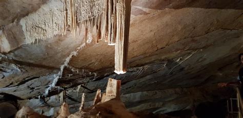 Jenolan Caves Imperial Cave Tour 2022 Viator