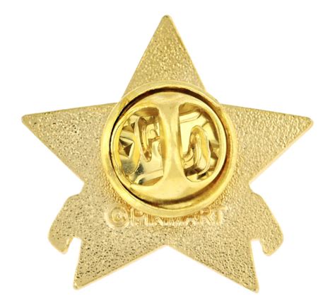 Star Volunteer Pin Pinmart