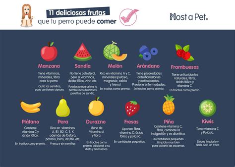 11 Deliciosas Frutas Que Tu Perro Puede Comer