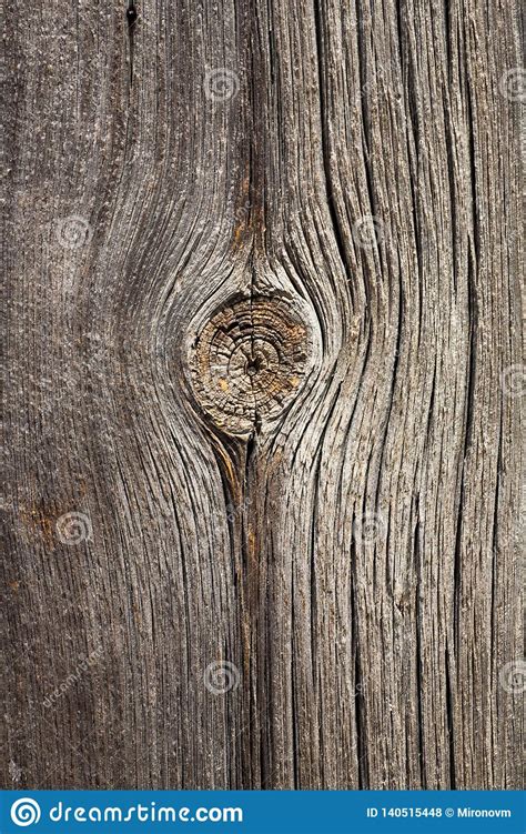 Old Wood Texture Grey Seamless Background Stock Photo Image Of Nature