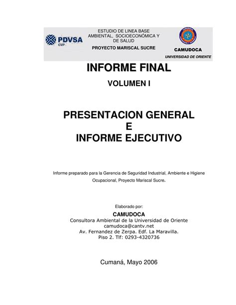 Pdf Presentacion General E Informe Ejecutivo