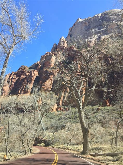 Zion National Park March 2018 (With images) | National parks, Zion