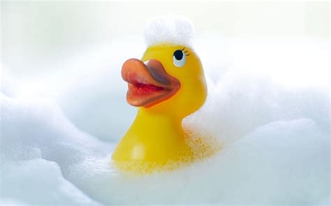 Rubber Ducks Can Kill Your Sex Drive Research Finds Telegraph