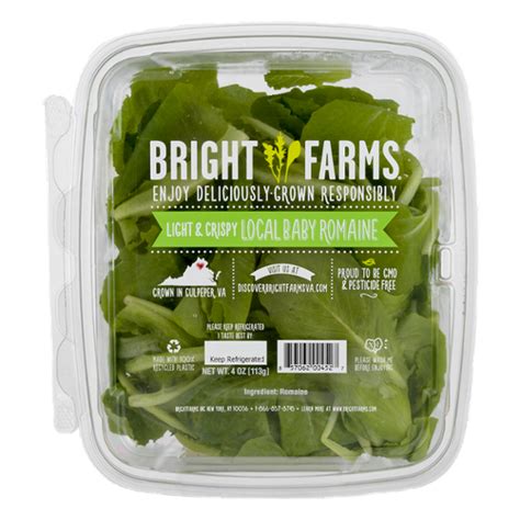 Brightfarms Baby Romaine 4 Oz Container From Giant Food Instacart