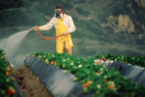 Pesticides Are “global Human Rights Concern” Say Un Experts Urging New