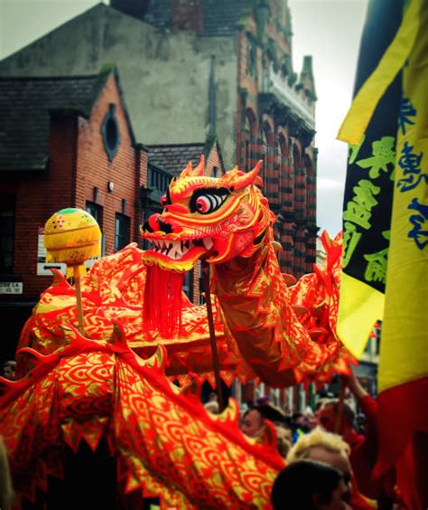 For the first hour, year of the dragon is a silly but decent movie. Best Chinese New Year Dragon Stock Photos, Pictures ...