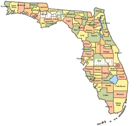 We did not find results for: Colorful Florida Map with County Regions - Free Florida Map
