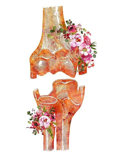 Elbow Anatomy Watercolor Print Elbow Joints Medical Art Elbow Ligaments And Tendons Poster