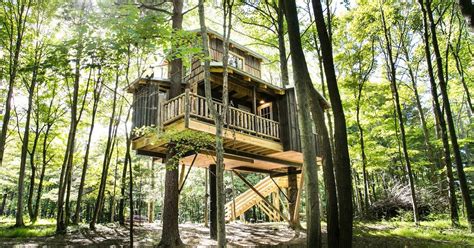 Maybe you would like to learn more about one of these? The Mohicans Moonlight Treehouse | InsideHook