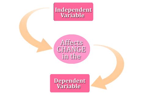 Independent Variable Science Definition Explanation And Examples