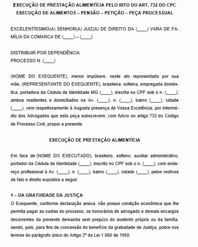 Refer Ncia Para Uma Peti O A O De Execu O Pens O Aliment Cia Modelo Gratuito