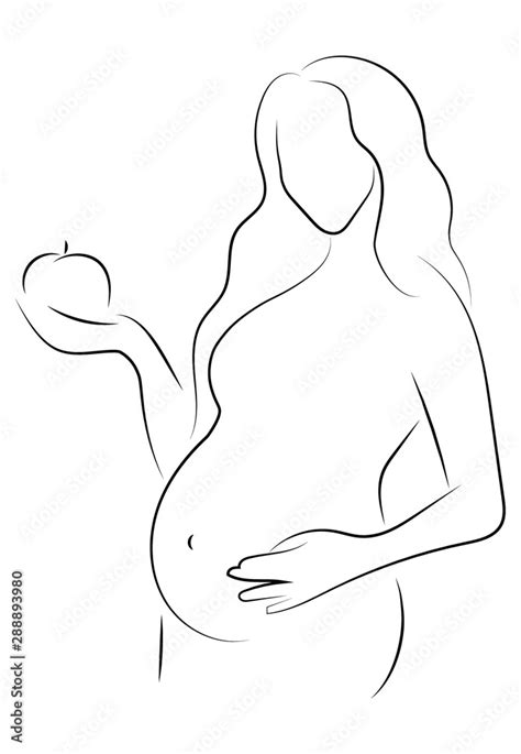 Contour Of Nude Pregnant Woman Outlines Of The Body Of A Pregnant Girl Black And White Vector