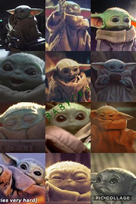 Babyoda collage | Star wars nerd, Star wars fans, Yoda