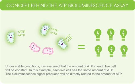 A Quick And Helpful Introduction To The Atp Bioluminescence Assay Goldbio