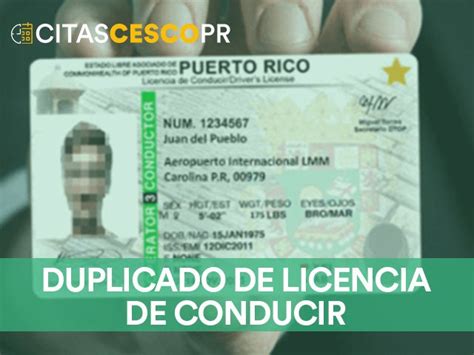 Cesco Duplicado De Licencia De Conducir 【2024】requisitos Solicitudes