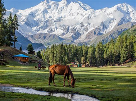 Hunza Valley The Scent Of Beauty And Pleasure Dream Vista Travel