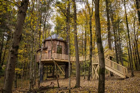 Take A Look Inside This Treetop Getaway Cottages And Gardens