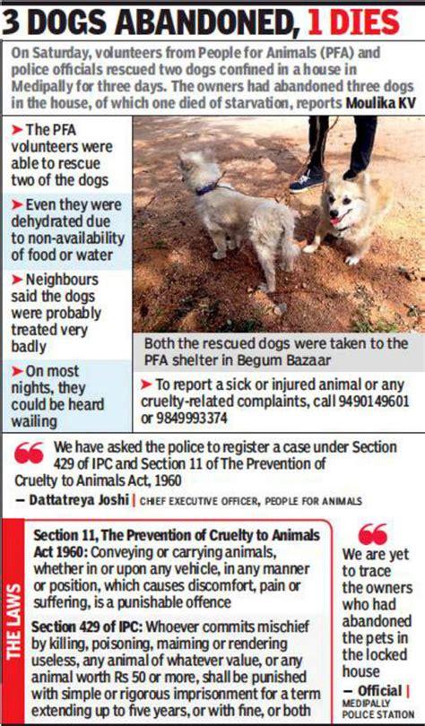 Top 183 Section 11 Of Animal Cruelty Act