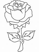 Coloring Rose Beautiful Roses Pages Color Print sketch template