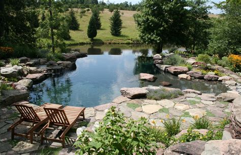 115 Nature Inspired Pool With Vanishing Edge Ponds Backyard Natural